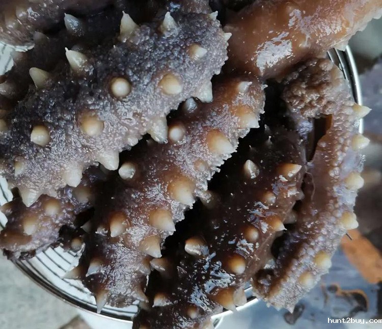 a14c958e4be2163551b730a21c5c4a50 (2)