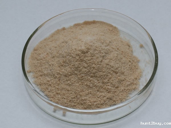 2709华体汇综合下载（地衣芽孢杆菌蛋白酶）Alkaline proteinase