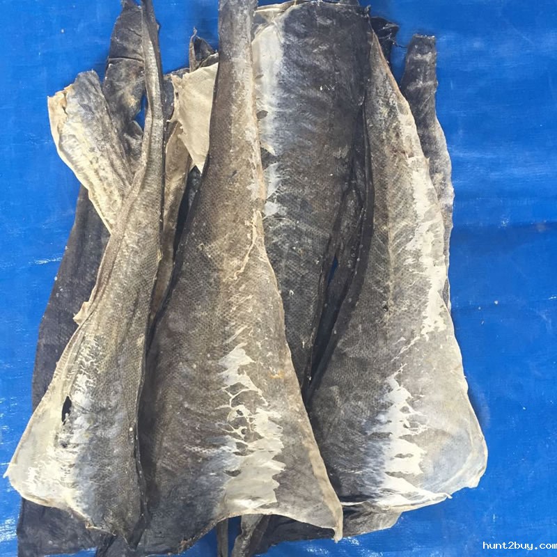 深海鳕鱼皮
