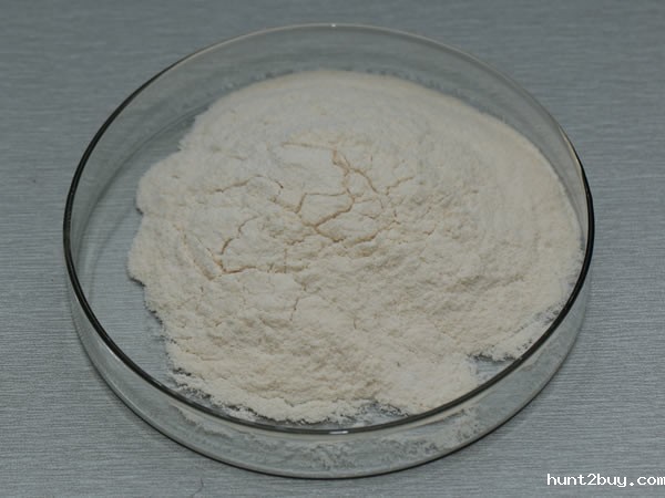 纤维素酶 cellulase