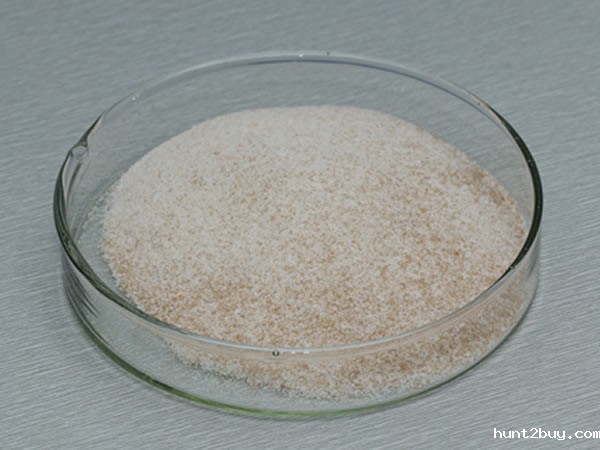 风味酶（氨肽酶，复合风味蛋白酶）Flavourzyme