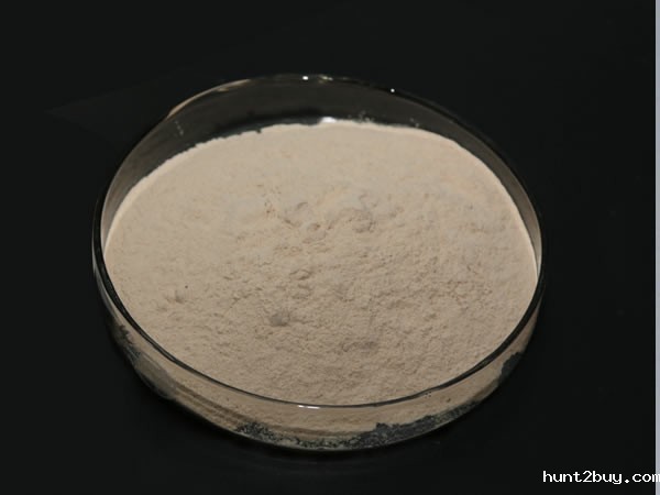 动物蛋白水解酶