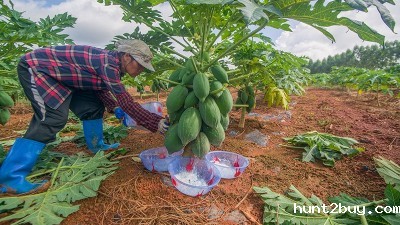 2025生物酶制剂行业发展趋势