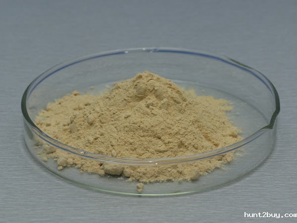 葡萄糖氧化酶 Glucose Oxidase