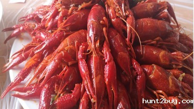 做酶好事业，享酶好生活，品酶力美食