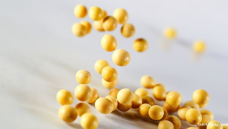 酶解大豆蛋白肽原料