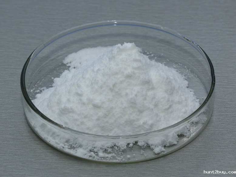 木聚糖酶 Xylanase