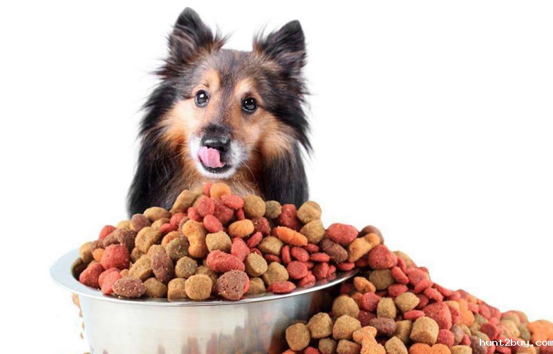 酶解鸡肝粉制备宠物诱食剂