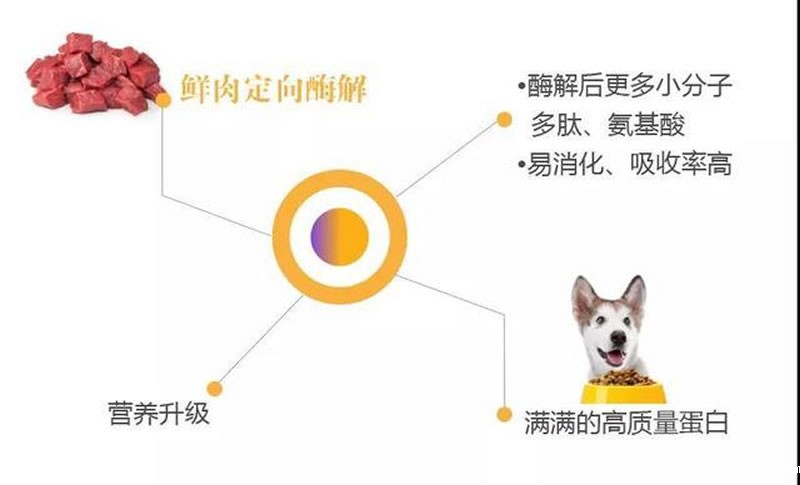 鲜肉酶解技术在宠物诱食剂中的应用