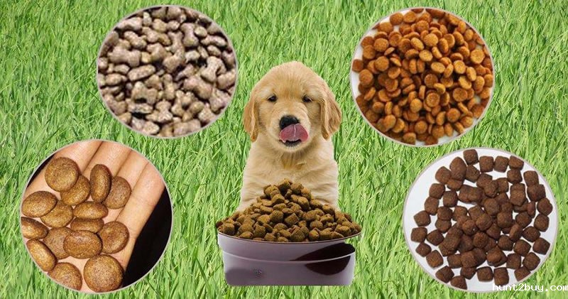 鸡肝粉宠物诱食剂