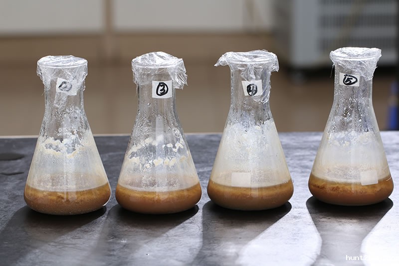 水解鸡肝生产宠物风味剂