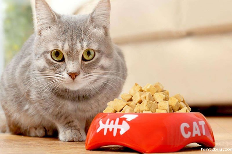 猫粮宠物诱食剂