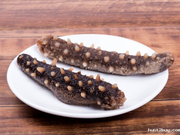 鱿鱼海参脱皮去皮—酶制剂解决方案