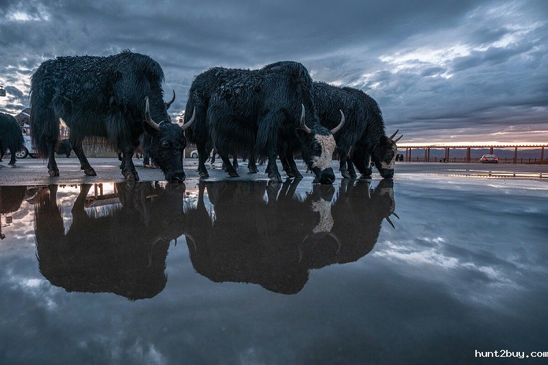 f7a2368352c29900be45a801b87ca1db