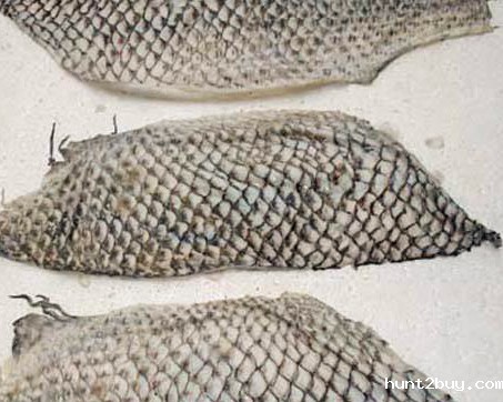 保健品肽类生产—酶制剂解决方案