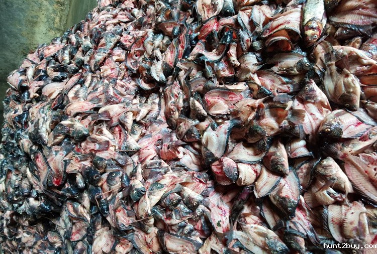 fdbecef1ebd2f0edea50e86953eaa203